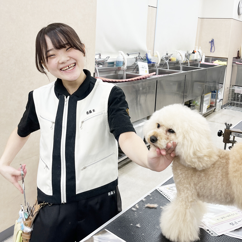 スキルアッププログラム♪